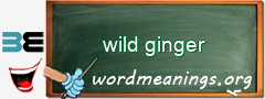 WordMeaning blackboard for wild ginger
